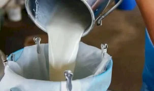 Süt ürünlerinde üretim arttı