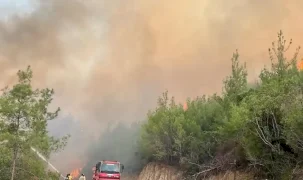 Yeşil Vatan'ı korumaya devam! O yangınlarda 3 ayda 69 şüpheliden 15'i tutuklandı