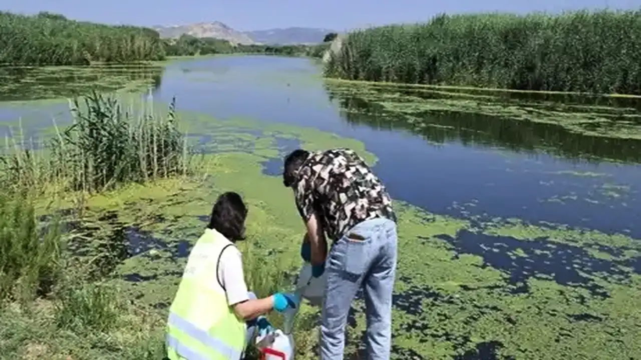İzmir ve Manisa'da Gediz kirliliği tırmanışa geçti