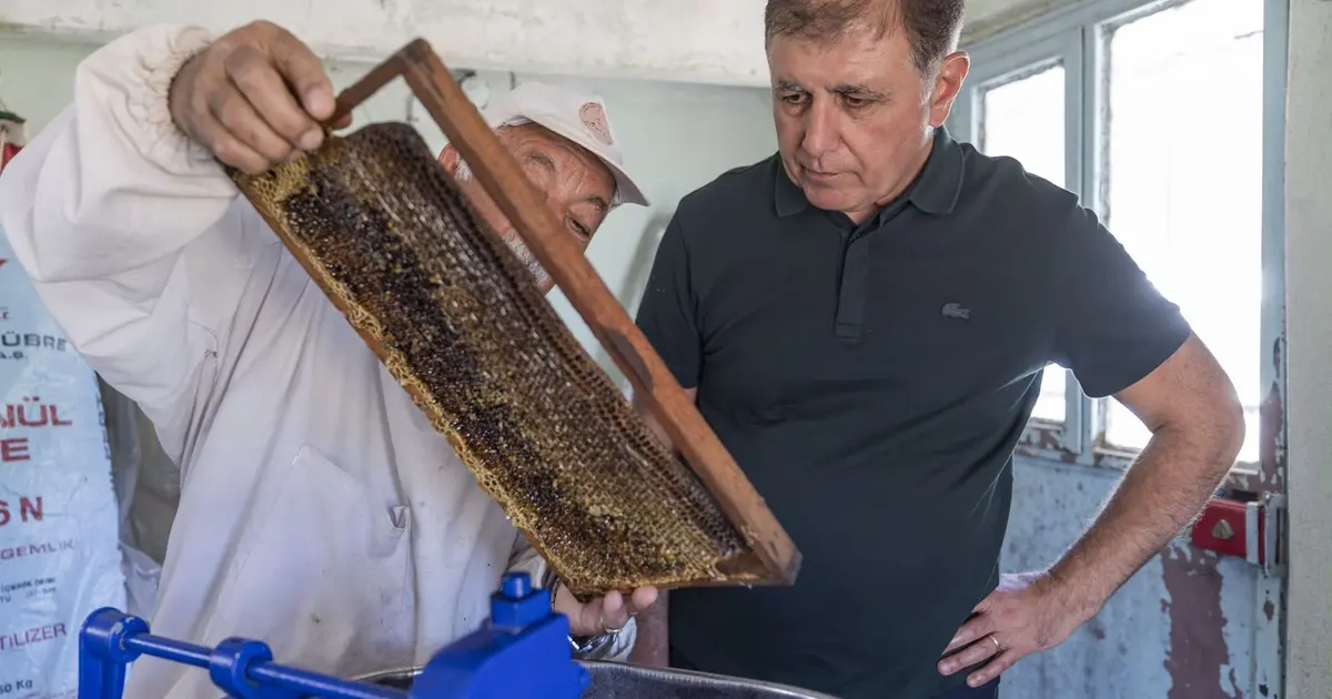 İzmir'de Başkan Tugay üreticiyle bal sağdı