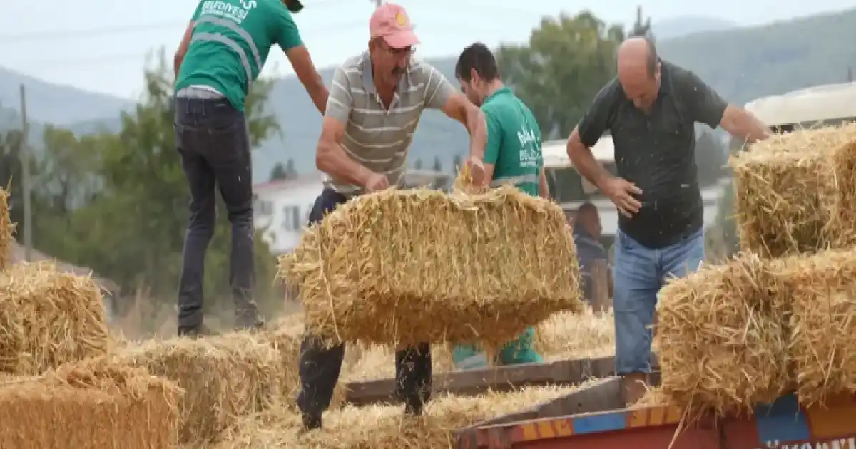 Milas Belediyesi’nden üreticilere destek paketi