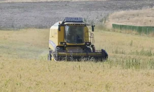 Ankara’da sertifikalı nohut hasadı başladı