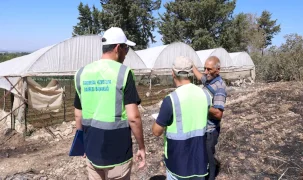 Antalya'da Büyükşehir ekipleri yangının izlerini silmek için sahada