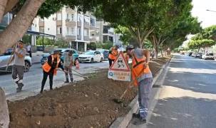 Antalya'da kurakçıl peyzajla yeşil dokunuş