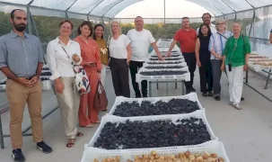 EİB'li kuru meyve ve mamulleri ihracatçıları Avrupa iş birliğini güçlendiriyor