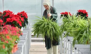 Emine Erdoğan'dan Türkiye Millî Botanik Bahçesi’ne ziyaret