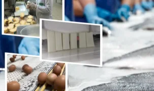IPARD-III kapsamında 844,5 milyon TL'lik hibe ödemesi
