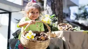 İzmir Karaburun ilçesinde 300 bin nergis dağıttı