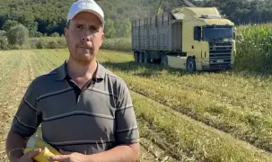 Kocaeli tarımında çift hasat dönemi