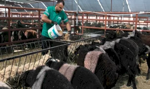 Mersin’de ‘Hadi Gel Köyümüze Destek Verelim’ projesi 7. yılında