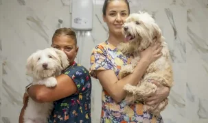 Mersin'de patili dostlar için anlamlı iş birliği