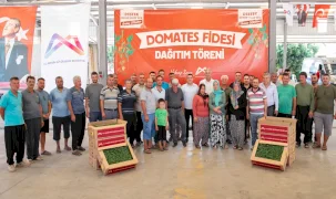 Mersin’de üreticiye domates fidesi desteği