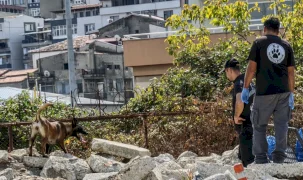 Trabzon’da arama köpekleri için K‑9 eğitim üssü kuruldu