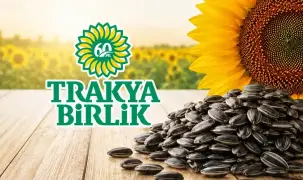 Trakya Birlik ayçiçeği için ön alım fiyatını belirledi