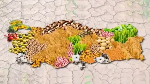 Türkiye'nin tarımsal örgütlenme verileri açıklandı